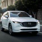 英國車主評鑑十大好車《cx 5》《kona》《kodiaq》《cr v》《ch r》《model 3》皆上榜（二）